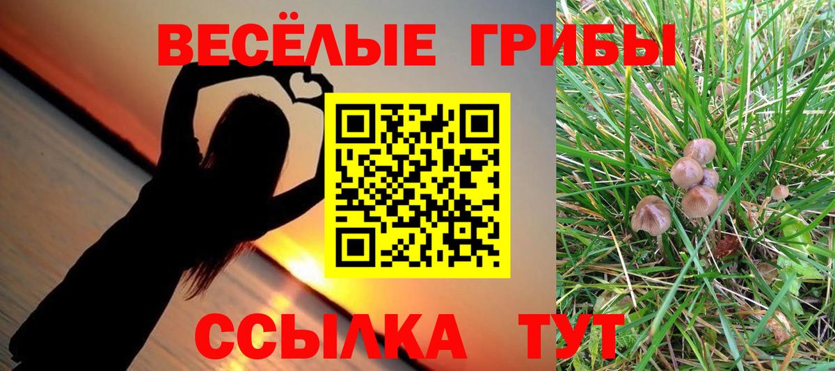 Псилоцибиновые грибы GOLDEN TEACHER Москва